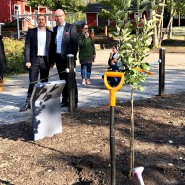 (FOTO: Alexander Richter) Zusammen mit Jyväskyläs Stadtdirektor Timo Koivisto hat der Oberbürgermeister der Stadt Potsdam, Mike Schubert, den Baum eingepflanz. Natürlich wurde dieser Akt feierlich begleitet.