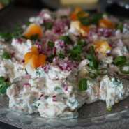 (FOTO: Inken Paletta, Finntastic) Leckerer Kartoffelsalat mit Radieschen, Lauch und Paprika. 