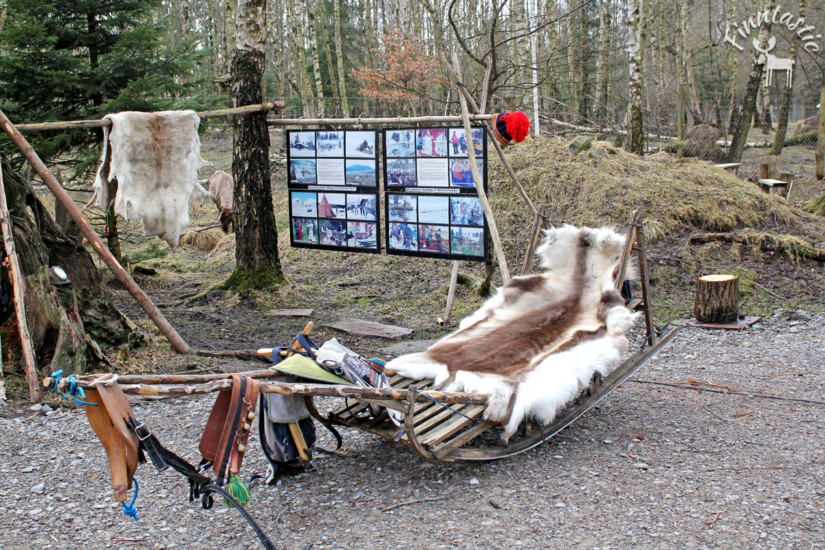 (FOTO: Finntastic) Im Björkträsk erfährt man alles über die Samen, die Urbevölkerung Lapplands und ihre Kultur.