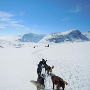 (FOTO: Dietrich Bender) Auf Tour mit dem Hundeschlitten durch die Winterlandschaft Skandinaviens.