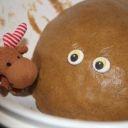 (FOTO: Finntastic) Achso, der will nicht im Kühlschrank frieren!