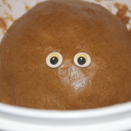 (FOTO: Finntastic) Bleibt ihm aber nichts anderes übrig...