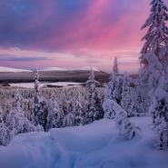 (FOTO: Anja Degiampietro) Der Winter in Lappland bringt beeindruckenende Farbspiele zu Tage.