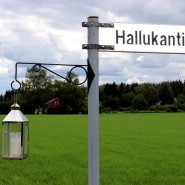 (PHOTO: Valentina Carini) The Finnish countryside around the artist residency is beautiful and really inspiring for Valentina.