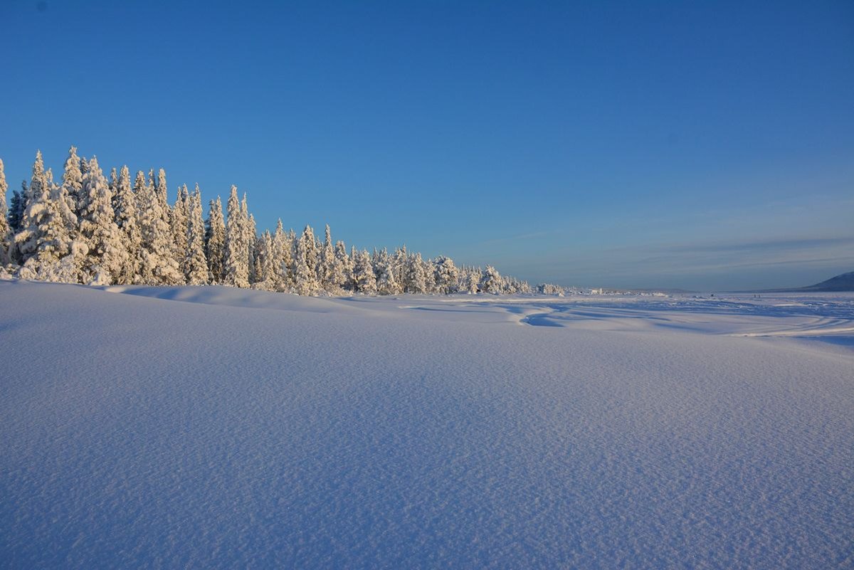 (FOTO: Liane Gruda) Winter in Sápmi: Atemberaubend schön, aber auch tierisch kalt. Temperaturen bis zu -40 Grad sind im Winter keine Seltenheit.!