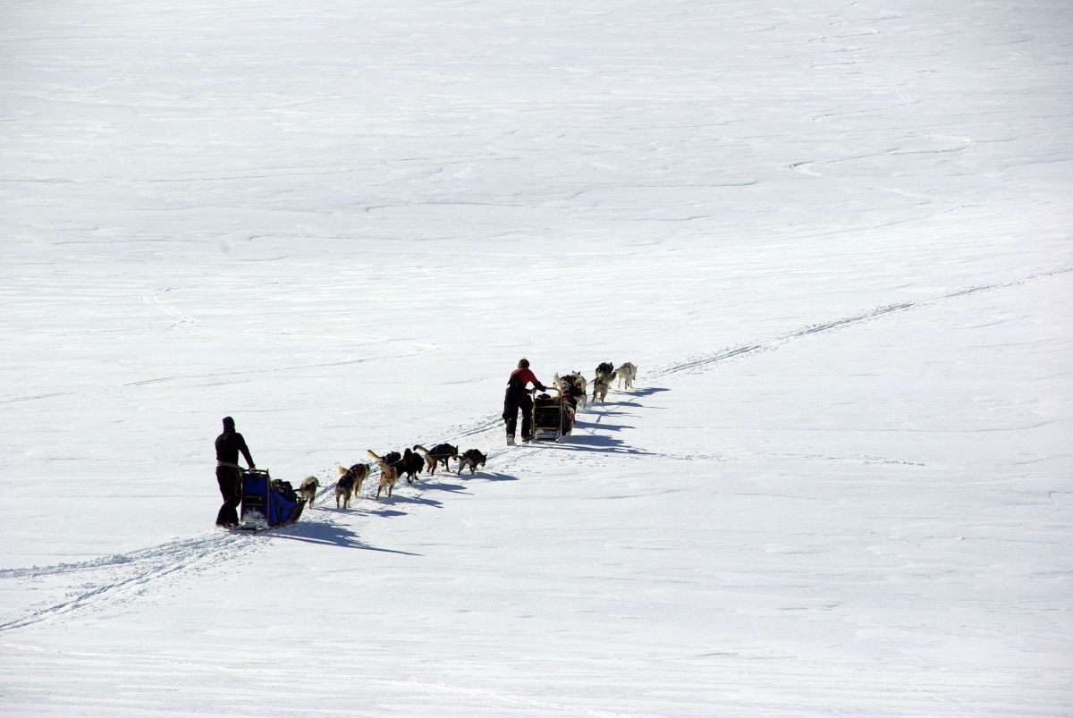 (FOTO: Liane Gruda) Unterwegs mit Schlttenhunden: Das Lenken eines Hundegespanns erfordert Konzentration und Geschicklichkeit.