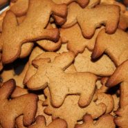 (FOTO: Finntastic) Oder ist das etwa gar kein Elch?