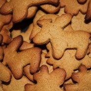 (FOTO: Finntastic) Es könnte auch ein Rentier sein....Oder was meint ihr?