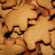 (FOTO: Finntastic) So viele Elche!