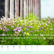 (FOTO: Lagomera) Bring mit dem Lagomera-Wochenkalender 2019 mehr Glück und Zufriedenheit in Dein Leben.