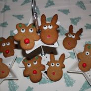 (FOTO: Finntastic) Lauter lustige Rentiere!