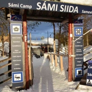 (FOTO: Liane Gruda) Sommer wie Winter bietet die Nutti Sámi Siida Rentiersafaris in die Umgebung Jukkasjärvis an.