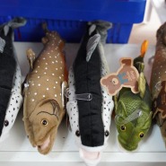 Plüschfische