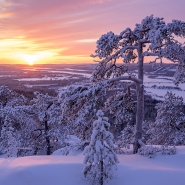 (FOTO: Matti Björninen) In der wunderschönen Winterlandschaft rund um den Aavasakasa gibt es ein vielfältiges Wintersportangebot.