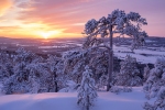 (FOTO: Matti Björninen) In der wunderschönen Winterlandschaft rund um den Aavasakasa gibt es ein vielfältiges Wintersportangebot.