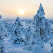 (FOTO: Matti Björninen) Die Landschaft von Ylitornio verwandelt sich im Winter in ein Winterwonderland.