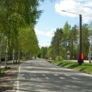 (FOTO: Mikael Diehl) Taavetti und die Gemeinde Luumäki sind umgeben von unberührter Natur und Wäldern.