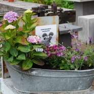 (FOTO: Inken Paletta, Finntastic) Auch Hunde sind im Café Virtakiven Sauna willkommen. 