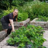 (FOTO: Inken Paletta, Finntastic) Eija Parkkinen baut im Garten Erdbeeren an, die sie für ihre Kuchen und Torten verwendet. 