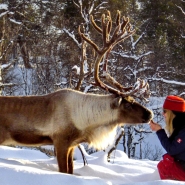 (FOTO: RENRAJD vualka) Brigitte und ein Rentier: Die Sámi haben eine enge Bindung zu ihren Tieren.