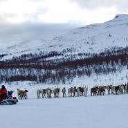 (FOTO: RENRAJD vualka) Das Rentierdorf von Uwes Famlie liegt in der am dünnsten besiedelten Region Schwedens, in der jämtländischen Landschaft Västra-Härjedalen.