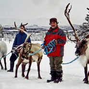 (FOTO: RENRAJD vualka) RENRAJD-Uwe auf Tour mit drei Rentieren.