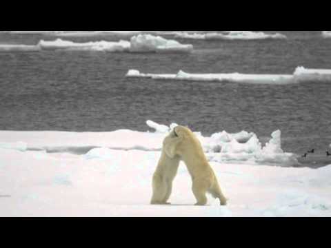 YouTube-Video-Thumbnail