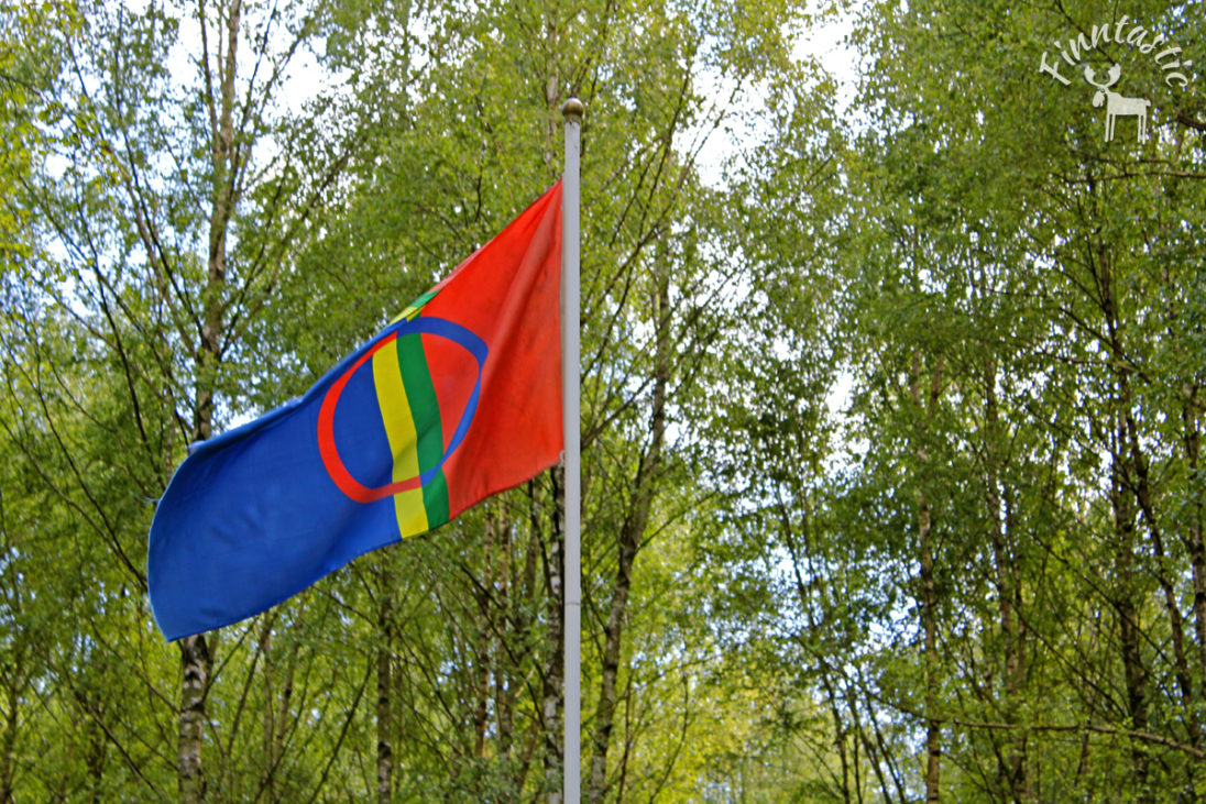 Samische Flagge