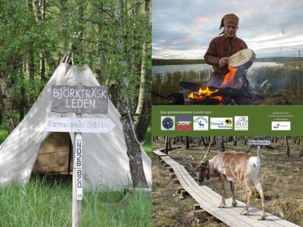 Joikworkshop Tierpark Sababurg
