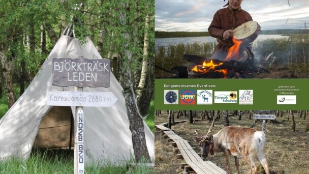 Joikworkshop Tierpark Sababurg