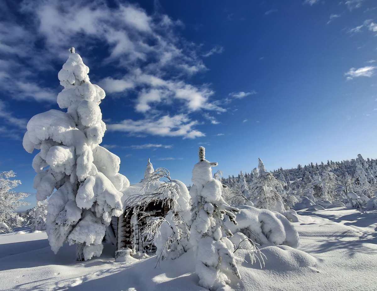 Winterwonderland - Finnisch-Lappland im Winter